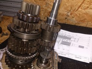 Vauxhall/Opel F16/F18/F20 Dog Gear Kit
